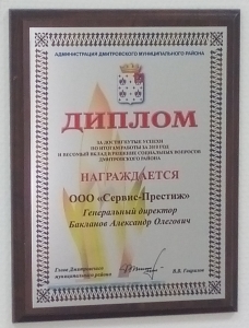 Диплом за успехи 2010